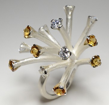 Ring-DSC_6324.jpg